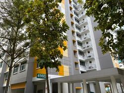 Blk 490D Sunshine Gardens (Choa Chu Kang), HDB 5 Rooms #500047191